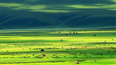  A Reserva Natural Nacional de Hulunbuir: Uma Odisseia em Tons Esmeralda e Aventuras Selvagens!