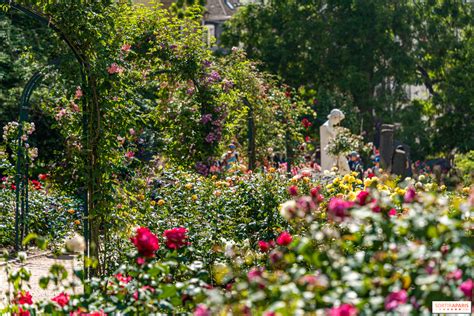 Jardins de la Roseraie: Um oásis perfumado para os amantes da natureza e da história!