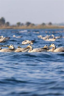 Parque Nacional de Shidao, um santuário de beleza natural intocada e refúgio para aves migratórias!