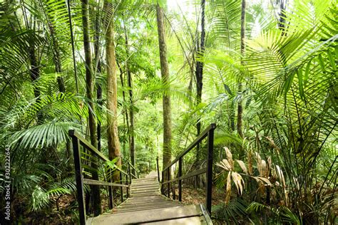 Taman Negara: Uma Jornada Inesquecível Através da Floresta Tropical Mais Antiga do Mundo!